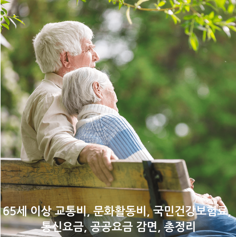 65세 이상 교통비, 문화활동비, 국민건강보험료, 통신요금, 공공요금 감면, 총정리