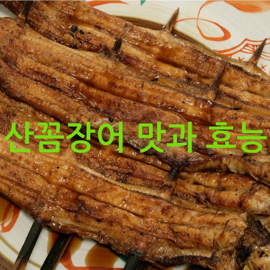 산꼼장어 맛과 효능