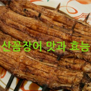 산꼼장어 맛과 효능